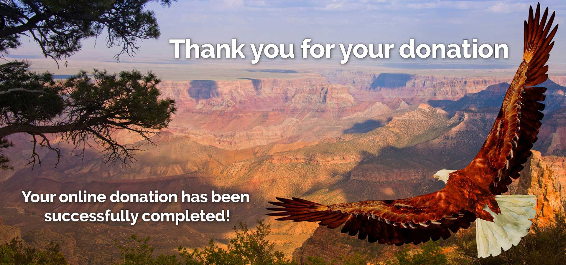 Thank You Eagle Grand Canyon